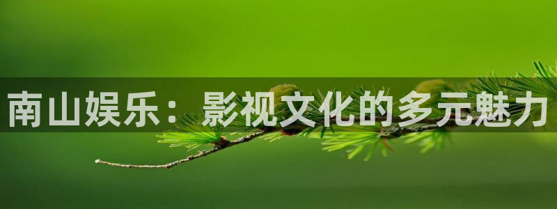 万向娱乐